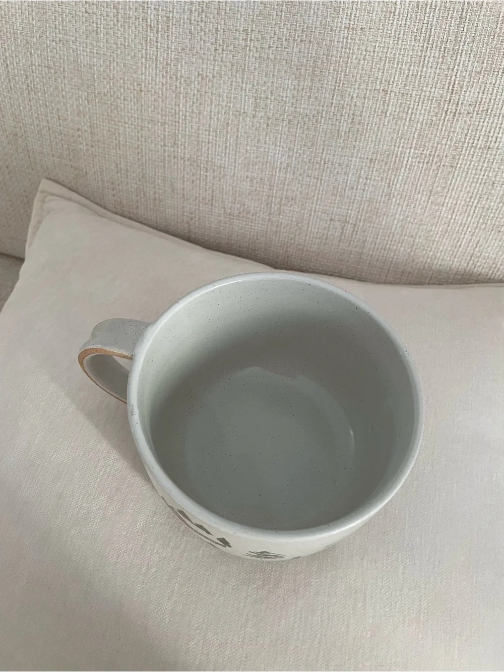 West Elm St. Jude Holiday Skier Stoneware Mug Soup Bowl Snow Trees Winter 28 oz